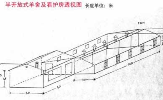 豫东养羊场地理分布解析：核心区域与选址优势  