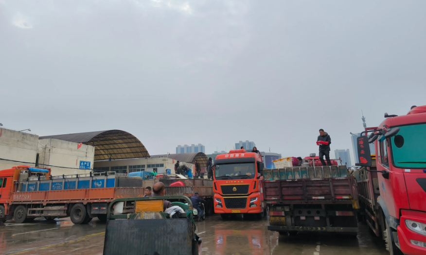沅江水产物流发货地全解析助力高效运输  