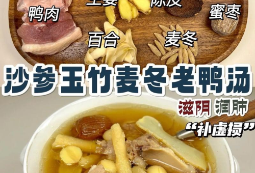 玉竹麦冬老鸭汤：滋阴润燥的秋日珍馐
