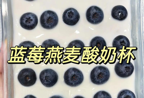 燕麦蓝莓酸奶杯：早餐新宠，营养满分与美味兼具的秘诀