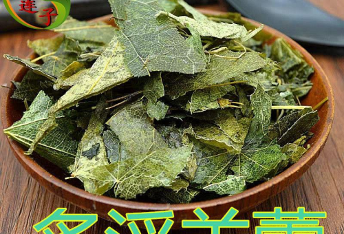 淫羊藿菟丝子酒：温肾壮阳，固精缩尿的养生珍品