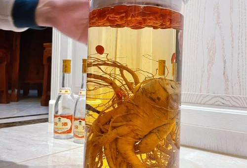 养生药酒：传统智慧与现代健康的结合  