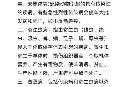 科学养羊必读指南：防疫要点与常见疾病防控全解析