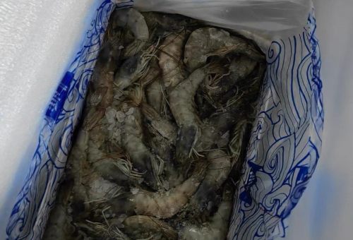 定州冷冻水产产业发展现状与未来展望  