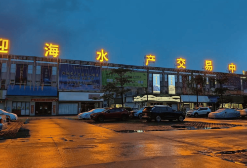 国际水产城交易区：全球海鲜贸易的核心枢纽  