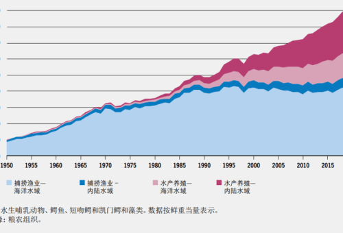 领英水产：全球渔业资源的可持续管理与创新实践  