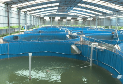 水产养殖业高质量发展路径探析与创新建议  