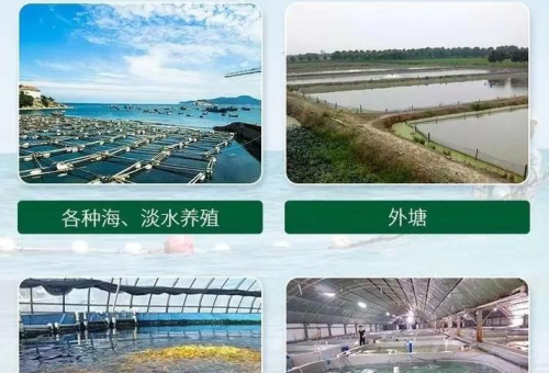 水产养殖中常见杀菌方法及注意事项  
