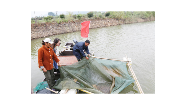 两村争水引发群体斗殴 水产坡上演全武行