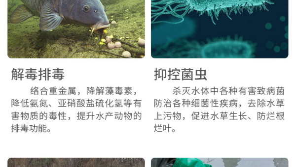 水产养殖高效改底技术提升养殖效益关键措施