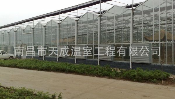 商河县李延红养殖场：绿色养殖引领乡村振兴新典范