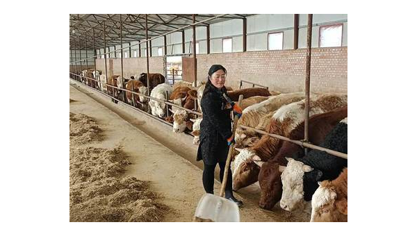 宁城县国明养殖场：生态养殖助力乡村振兴的典范