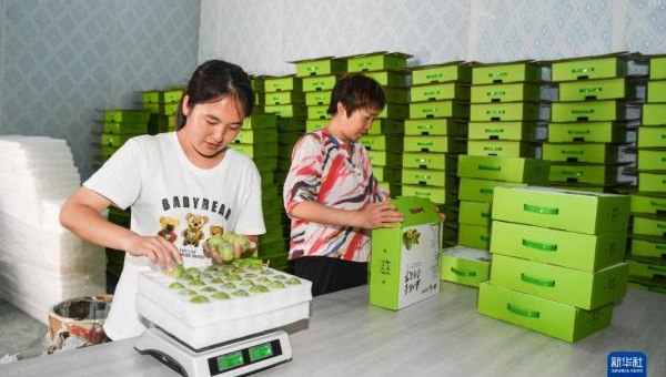 巫山县鲍勇养殖场：生态养殖助力乡村振兴