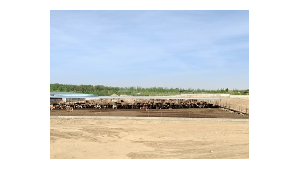 武安市保如养殖场：生态养殖引领乡村振兴新篇章